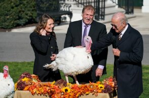 ΗΠΑ: Ο πρόεδρος Μπάιντεν έδωσε χάρη σε δύο γαλοπούλες ενόψει της γιορτής των Ευχαριστιών	
