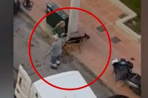 Συνελήφθη η ιδιοκτήτρια του λυκόσκυλου που κατασπάραξε μικρό κανίς