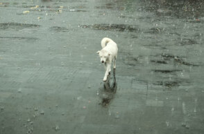 Βροχερός ο καιρός σήμερα Τετάρτη (23/11) σε πολλές περιοχές της χώρας