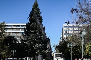 Στήθηκε το χριστουγεννιάτικο δέντρο στην πλατεία Συντάγματος (βίντεο)