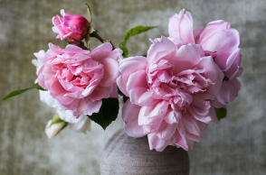 Λουλούδι - γιορτή