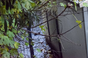 Νεκρός μαθητής στις Σέρρες μετά την έκρηξη στο λεβητοστάσιο δημοτικού σχολείου