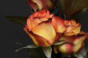 Ο Νίκος γιορτάζει σήμερα 6 Δεκεμβρίου, σύμφωνα με το εορτολόγιο