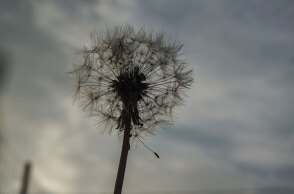 Μουντός ο καιρός σήμερα Τρίτη (6/12) στην Αττική