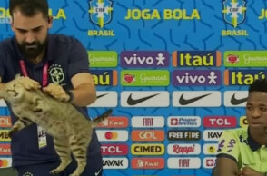 Η γάτα που «διέκοψε» τη συνέντευξη Τύπου του Βινίσιους στο Μουντιάλ του Κατάρ απομακρύνεται με βάναυσο τρόπο