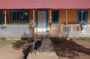 Επισκεφθήκαμε το ΚΑΖ. Στην πλευρά της εισόδου βρίσκεται ο χώρος με τα ηλικιωμένα σκυλιά του καταφυγίου