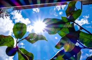 Υψηλές θερμοκρασίες και νοτιάδες στη χώρα την Παρασκευή