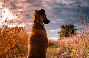 Καλές καιρικές συνθήκες αύριο Τρίτη (3/1), σύμφωνα με την ΕΜΥ