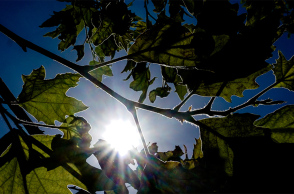 Καιρός - Ήλιος