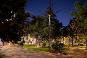 Άλσος της μιας νυκτός