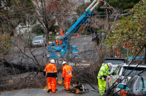 Πτώσεις δέντρων στην Καλιφόρνια από τους θυελλώδεις ανέμους
