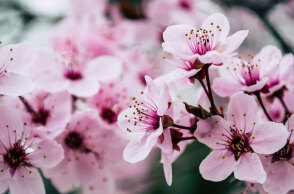 Το εορτολόγιο σήμερα 9 Ιανουαρίου 2023 δεν έχει κάποιον/α που να γιορτάζει