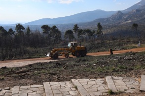 Τέως βασιλιάς Κωνσταντίνος: Συνεχίζονται οι εργασίες στο Τατόι για την ταφή