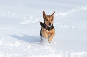 Χιονοπτώσεις στα κεντρικά και βόρεια της χώρας φέρνει η νέα επιδείνωση καιρού