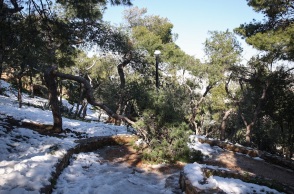 Καλλιάνος - Καιρός: Χιόνια και στην Αττική από την Παραασκευη