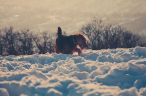 Χιόνια στην Αττική αναμένουν οι μετεωρολόγοι