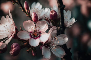 Ιάσιμος και Ισίδωρος γιορτάζουν σήμερα 4 Φεβρουαρίου