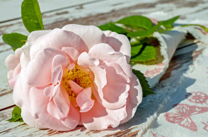 Μπουκέτο λουλούδια