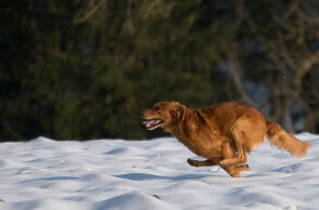 Νέα χιόνια φέρνει η κακοκαιρία «Μπάρμπαρα» τις επόμενες ώρες σε περιοχές της χώρας