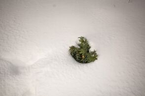 @Nick Paleologos / SOOC