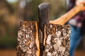 Καβάλα: Νεκρός 55χρονος βοσκός - Καταπλακώθηκε από δέντρο που πήγε να κόψει