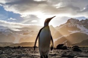 Ανταρκτική: Ο θαλάσσιος πάγος σημειώνει νέο ιστορικό χαμηλό