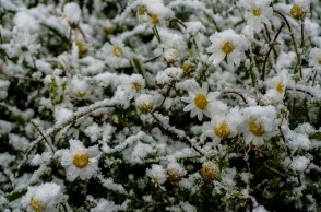 Παγετός στη βόρεια Ελλάδα: Το θερμόμετρο έδειξε μέχρι -8 βαθμούς Κελσίου