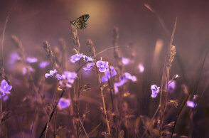 Γενικά αίθριος ο καιρός αύριο Δευτέρα (20/2)
