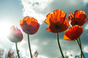 Γενικά αίθριος ο καιρός αύριο Κυριακή (26/2)