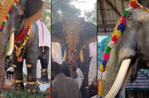 Ο ελέφαντας - ρομπότ στην Ινδία