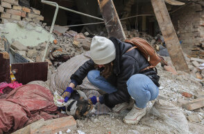 Νεαρή γυναίκα στην Ουκρανία σώζει σκύλο από τα χαλάσματα σπιτιού μετά τον ρωσικό βομβαρδισμό στην πόλη Λβιβ