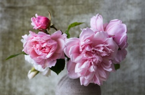 Λίγα λουλούδια σε γλαστράκι για τους εορτάζοντες σήμερα