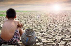 Επιστήμη- Περιβάλλον: Δάση και χώροι πρασίνου μειώνουν τους κινδύνους για την υγεία, επιβεβαιώνει παγκόσμια έκθεση	