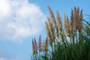 Γενικά αίθριος ο καιρός σήμερα 1η Απριλίου