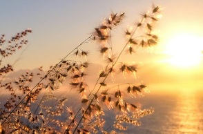 Μάρτιος 2023: Ο δεύτερος θερμότερος παγκοσμίως από το 1979