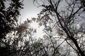 Ήλιος - καιρός