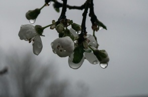 Καιρός την Πρωτομαγιά - Τσατραφύλλιας: «Βροχερή, όχι όμως για όλους»