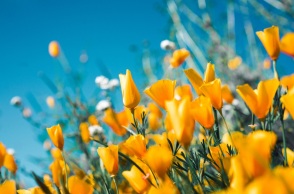 Εορτολόγιο: Σήμερα 9 Μαΐου 2023 γιορτάζει…