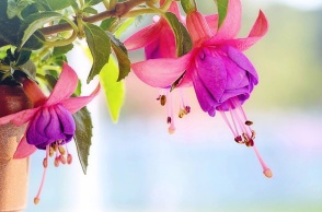 Εορτολόγιο: Σήμερα 10 Μαΐου 2023 γιορτάζει…