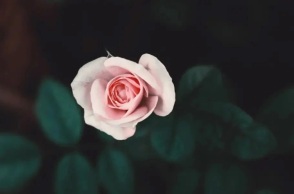 Εορτολόγιο: Σήμερα 28 Μαΐου 2023 γιορτάζει…