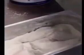 Σάλος με βίντεο που δείχνει να τηγανίζουν ζωντανά ψάρια σε ταβέρνα στην Κάρπαθο