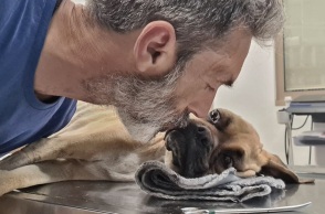 Ηλεία: Πέθανε η Νίκη, το σκυλί που βρέθηκε σκελετωμένο και αλυσοδεμένο στη Ζαχάρω