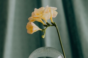 Εορτολόγιο: Σήμερα 1 Ιουνίου 2023 γιορτάζει…