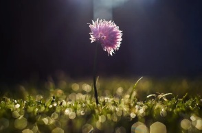 Εορτολόγιο: Σήμερα 2 Ιουνίου 2023 γιορτάζει…