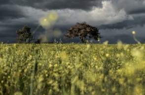 Καιρός: Βελτιώνεται μέχρι να ξαναχαλάσει: «Ο Ω εμποδιστής δεν έφυγε»