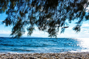 © EUROKINISSI/ΓΙΩΡΓΟΣ ΚΟΝΤΑΡΙΝΗΣ