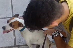 Βρήκε τον σκύλο του μετά από πέντε χρόνια