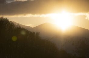 @ Dimitris Tosidis / SOOC