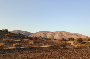 Ψάχνοντας με την Anima και τη Save Your Hood άγρια ζώα στα καμένα 