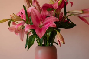 © Unsplash /Earl Wilcox